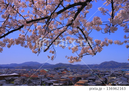 西山公園(福井県鯖江市)から鯖江市街の眺め 西山公園(福井県鯖江市)から鯖江市街の眺め 136962163