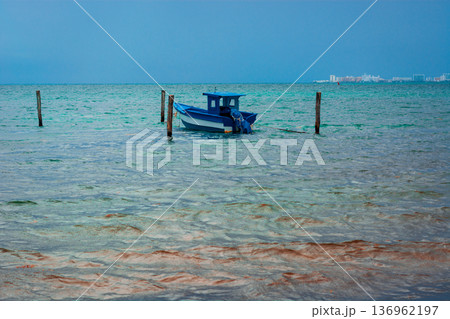 Blue fishing boat anchored in shallow mexican turquoise waters 136962197