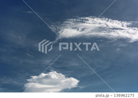 Seagull soaring through deep blue sky with wispy clouds 136962275