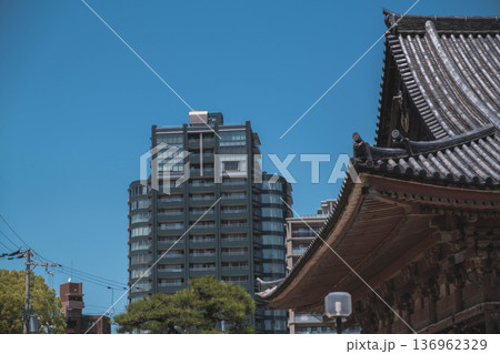 [四天王寺]大阪を代表する歴史深いお寺の美しい風景 / 大阪の町並みの風景 136962329
