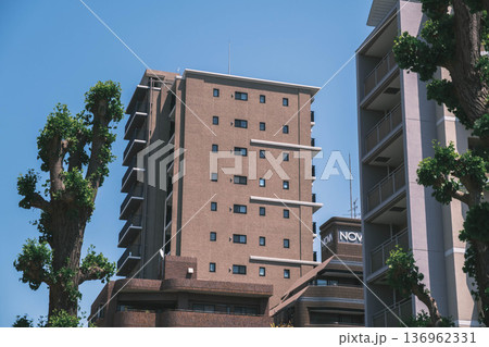 [四天王寺]大阪を代表する歴史深いお寺の美しい風景 / 大阪の町並みの風景 136962331