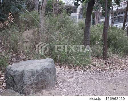 公園の広場に置かれた大きな景石と周囲の樹木 公園の広場に置かれた大きな景石と周囲の樹木 136962420