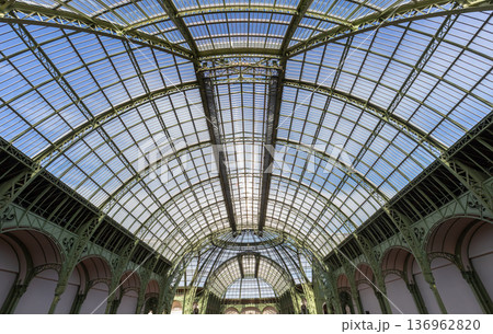 Grand Palais, canopy dome, Paris, France Grand Palais, canopy dome, Paris, France 136962820
