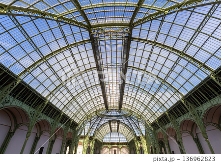 Grand Palais, canopy dome, Paris, France 136962823