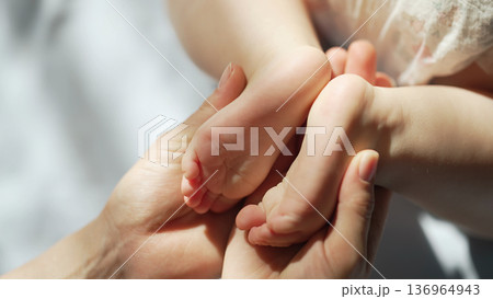 Little Tiny Newborn Feet In Moms Hands. Touch Of Love And Care.parenthood,Family 136964943