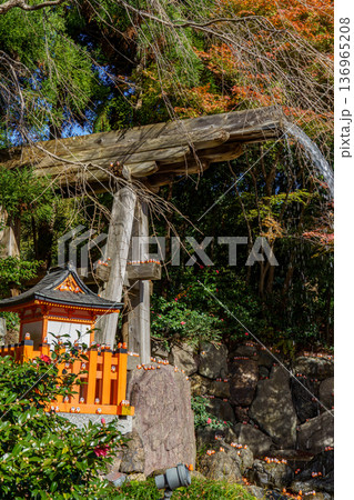 autumn time near osaka in japan autumn time near osaka in japan 136965208