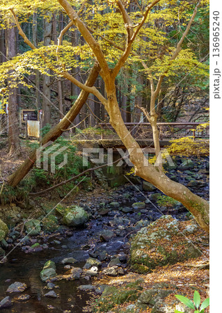 autumn time near osaka in japan autumn time near osaka in japan 136965240