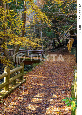 autumn time near osaka in japan autumn time near osaka in japan 136965242