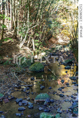 autumn time near osaka in japan autumn time near osaka in japan 136965251