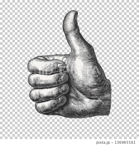 Engraved thumbs up hand in detailed vintage style isolated on white background symbolizing approval and positivity message Engraved thumbs up hand in detailed vintage style isolated on white background symbolizing approval and positivity message 136965581