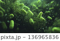 Microbial Populations In Liquid Environment Reveal Insights Into Gut Health And Treatment Processes 136965836