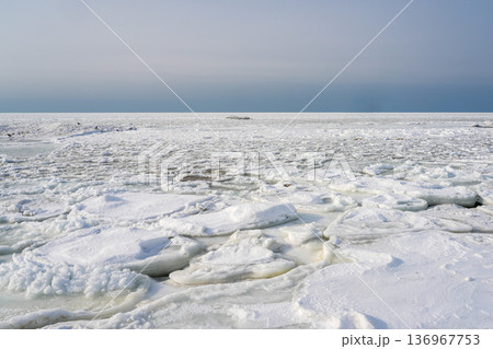 Vast Frozen Baltic Sea Coast Covered with Drift Ice and Snow in Winter Vast Frozen Baltic Sea Coast Covered with Drift Ice and Snow in Winter 136967753