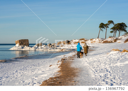 Walking with a Dog Along Snowy Baltic Sea Coast in Liepaja 136967792