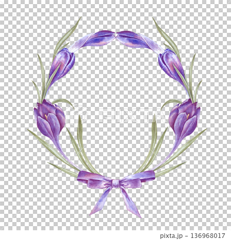 Round Easter frame of blooming crocuses with long leaves and a purple bow on an isolated background. Watercolor illustration of a wreath of spring flowers with an empty place to insert. Round Easter frame of blooming crocuses with long leaves and a purple bow on an isolated background. Watercolor illustration of a wreath of spring flowers with an empty place to insert. 136968017