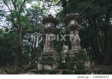 [春日大社]奈良を代表する世界遺産の風景 136968972