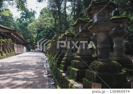 [春日大社]奈良を代表する世界遺産の風景 136968974