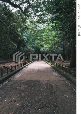 [春日大社]奈良を代表する世界遺産の風景 136968982