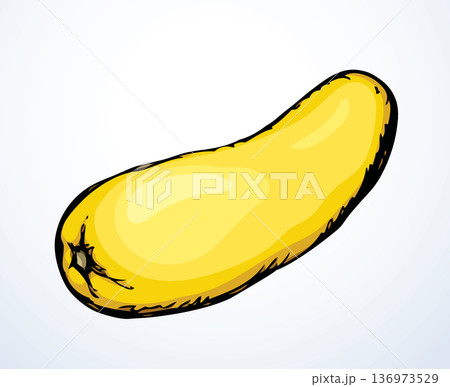 Zucchini gourd. Vector drawing icon 136973529