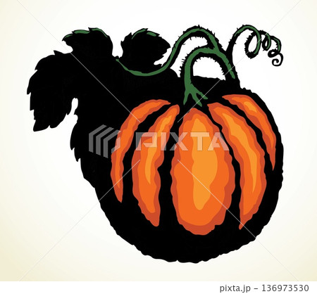 Big yellow pumpkin. Vector drawing 136973530