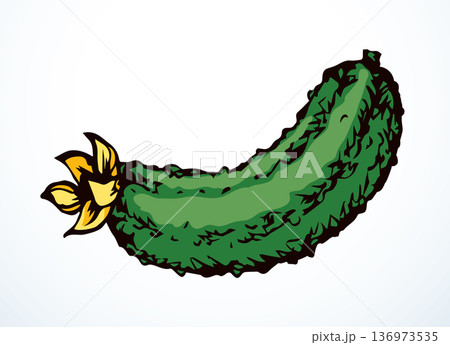 Small green cucumber. Vector drawing Small green cucumber. Vector drawing 136973535