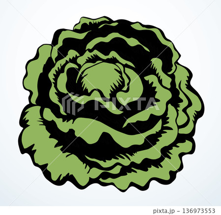 Cabbage. Vector drawing icon sign 136973553