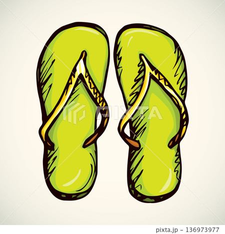 Slippers. Vector drawing 136973977