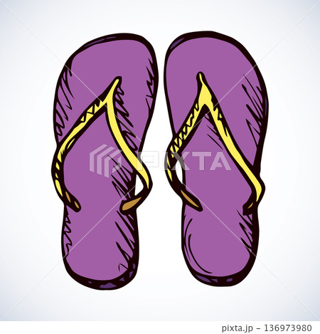 Slippers. Vector drawing 136973980