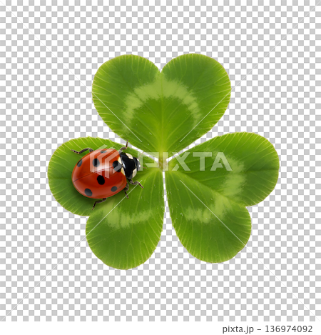 Lucky red ladybug resting on a vibrant green four-leaf clover, isolated. Perfect for st. patrick's day, good luck symbols, and nature themes Lucky red ladybug resting on a vibrant green four-leaf clover, isolated. Perfect for st. patrick's day, good luck symbols, and nature themes 136974092