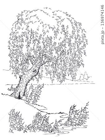 Vector drawing. Tree at the lake Vector drawing. Tree at the lake 136974146