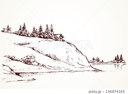 Firs on hill above river. Vector drawing Firs on hill above river. Vector drawing 136974165
