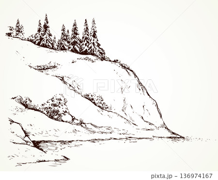 Firs on hill above river. Vector drawing Firs on hill above river. Vector drawing 136974167
