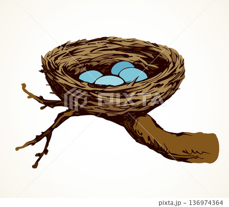 Nest. Vector drawing Nest. Vector drawing 136974364
