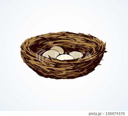 Nest. Vector drawing Nest. Vector drawing 136974370