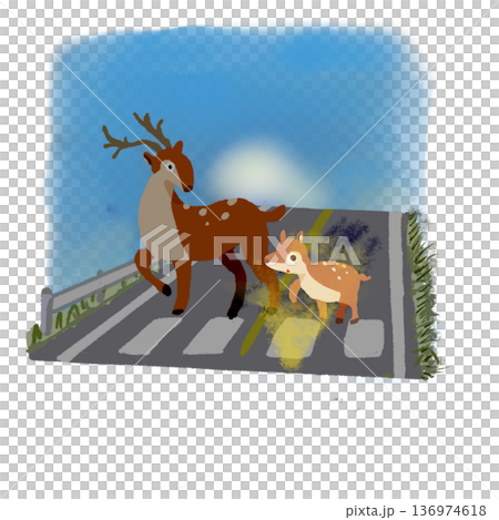 A parent and child deer crossing the road early in the morning Traffic safety illustration Blue sky background 136974618