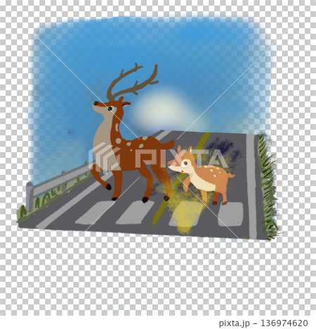A parent and child deer looking up on an early morning road Traffic safety illustration Blue sky background A parent and child deer looking up on an early morning road Traffic safety illustration Blue sky background 136974620