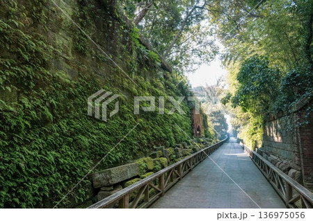 神奈川県横須賀市　　猿島の風景 136975056