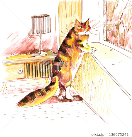 Cat Looking Out Window Illustration Cat Looking Out Window Illustration 136975241