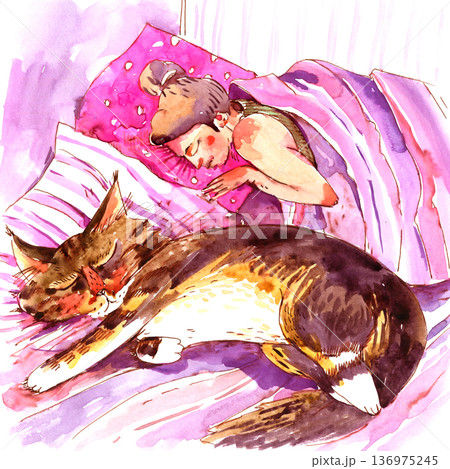 Woman Sleeping With Cat Illustration Woman Sleeping With Cat Illustration 136975245