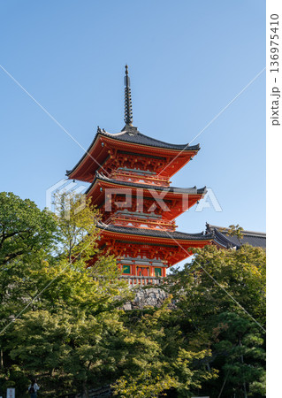 Red Japanese pagoda temple framed by autumn leaves in Kyoto, Japan 136975410