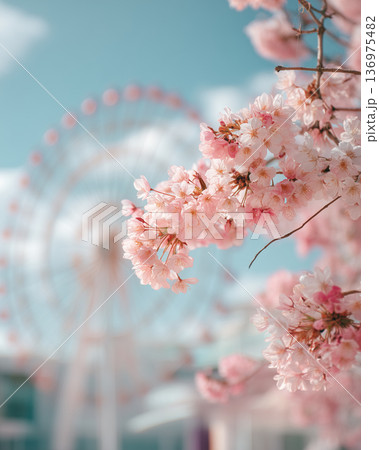 満開の桜と観覧車が映える春の縦構図風景 136975482