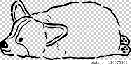 Cute Corgi Bread Loaf Dog Doodle Outline Lying Cartoon Hand Drawn Cute Corgi Bread Loaf Dog Doodle Outline Lying Cartoon Hand Drawn 136975561