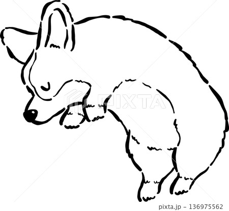Sleeping Corgi Bread Loaf Dog Outline Doodle Curled Up in Croissant Shape Cartoon Hand Drawn 136975562