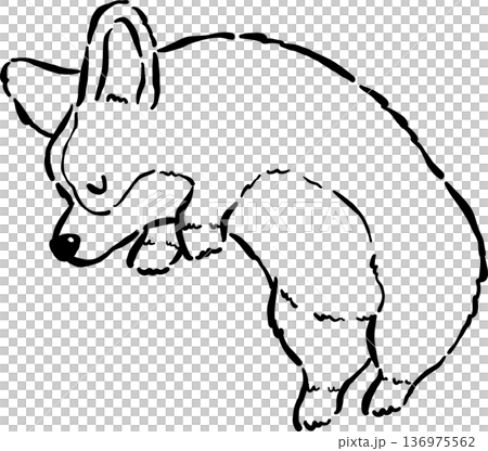 Sleeping Corgi Bread Loaf Dog Outline Doodle Curled Up in Croissant Shape Cartoon Hand Drawn 136975562