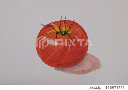 透明水彩で描いた美味しそうなトマト 136975753