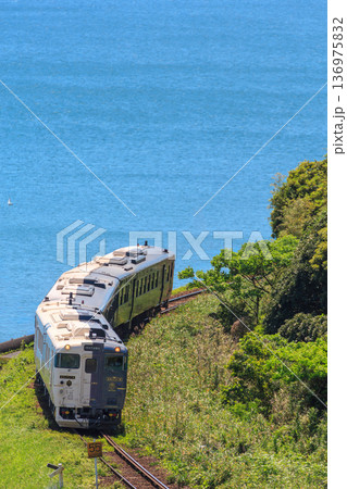 錦江湾をバックに海沿いのカーブを辿る指宿枕崎線の観光列車 136975832