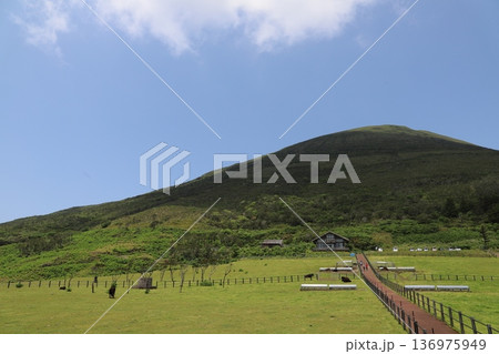 八丈富士と牛 八丈富士と牛 136975949