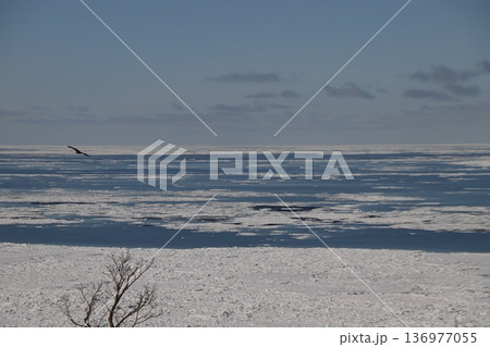 流氷の海 流氷の海 136977055