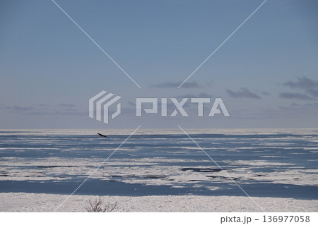 流氷の海 136977058