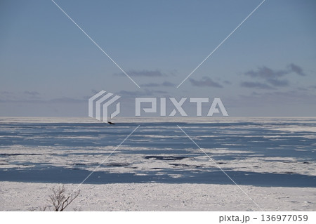流氷の海 流氷の海 136977059