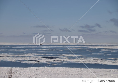 流氷の海 136977060
